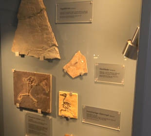 Jura-Museum