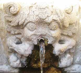 Einer der wasserspeienden Löwen