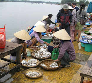 Fischmarkt in Hoi An