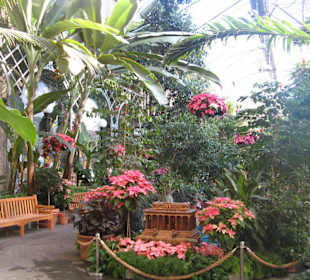 United States Botanic Garden in Washington D.C.