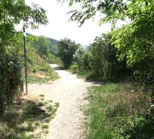 Weinlehrpfad