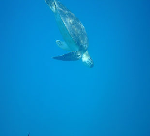 Immer wieder schön!