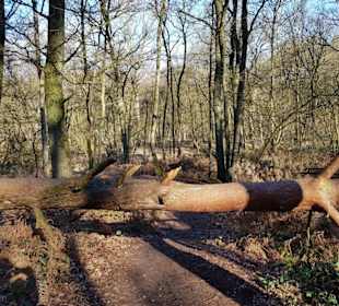 Auch mal Umleitungen
