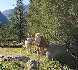 Wandern St. Jakob im Defereggental