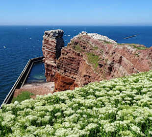 Impressionen von der "Langen Anna"