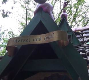 Themenbereich Märchenwald