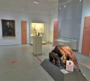 Rundgang durch das Zoologische Museum Kiel