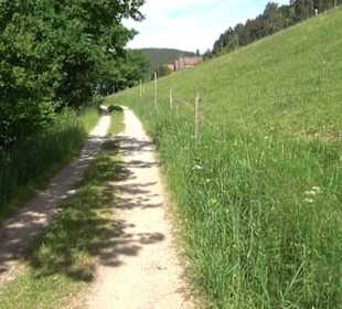 Wanderung Klosterquelle Klosterreichenbach