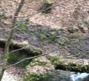 Wolfsschlucht