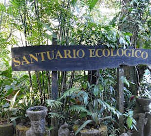 Santuario Ecológico Monteverde