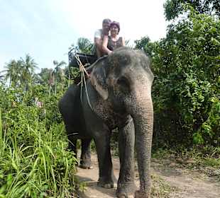 Elephant tracking