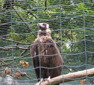 Zoo Ostrava