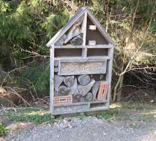 Alpenwildpark Pfänder - Insektenhotel