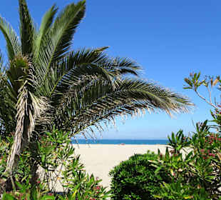 An der Strandpromenade von Argelès-Plage