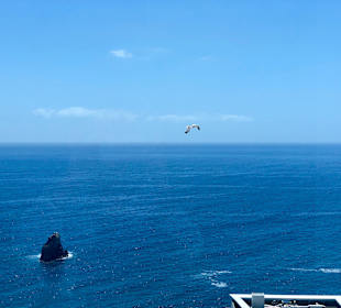 Wandern Funchal
