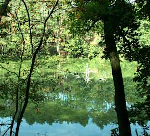 Seenlandschaft Nähe Forsthaus Siehdichum