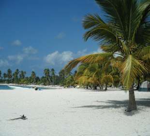 Insel Saona