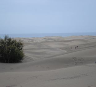 Maspalomas