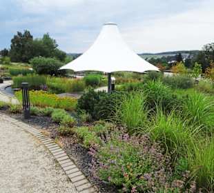 Rundgang durch den Kräuterlehr- und Schaugarten