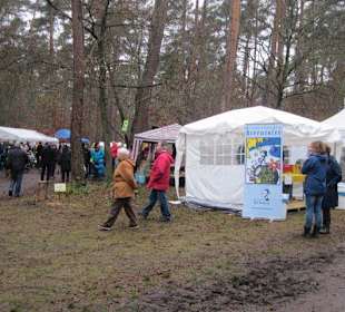Waldbasar in Dudenhofen