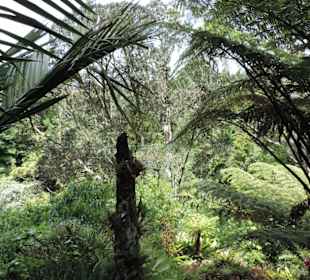 Eden Garden ein Paradies mitten in der Stadt