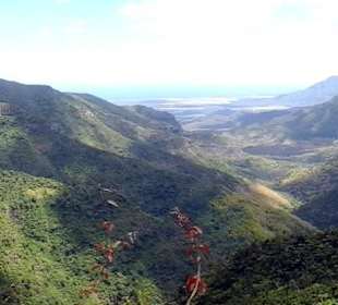 Viewpoint Black Forrest