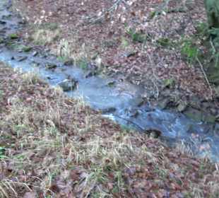 Wanderung rund um den Ochsenweiher
