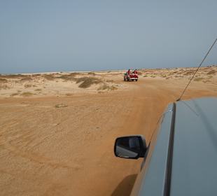 Unterwegs mit Pickups