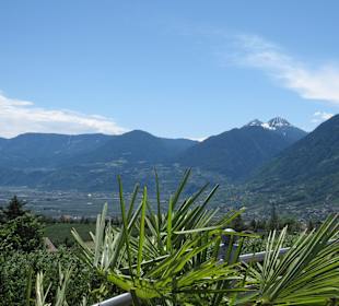 Blick auf Meran und Umgebung