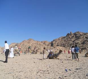 Stargazing trip in the desert, camel riding