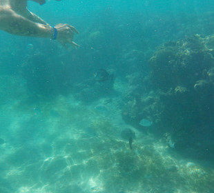 Schnorcheln Hurghada