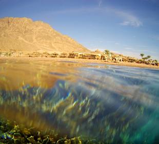 Schnorcheln Dahab
