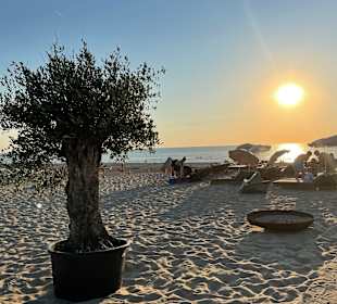 Strand Noordwijk aan Zee