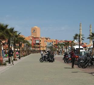 Harley Davidson Fans zu Besuch