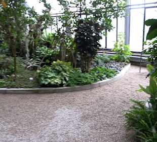 Schauhäuser