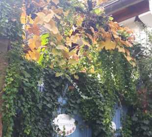 Rhodt unter Rietburg