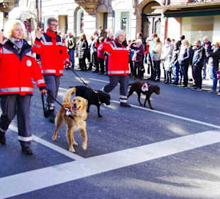 Wasser und Rettungstaffel Fürth