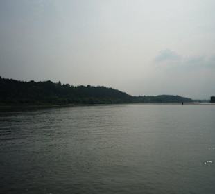 Wisła