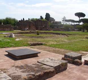 Im Palatino.