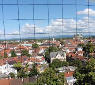 Blick zum Dom