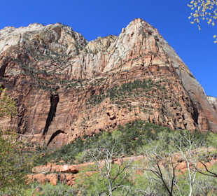 Im Zion Nationalpark