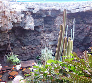 Blick von der Treppe 