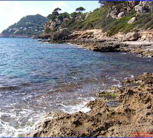 Strand/Küste von Canyamel