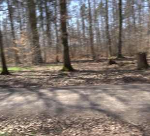 Geschichtlicher Lehrpfad Einsiedel