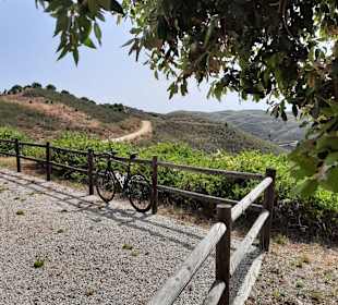 Wandern Cabanas de Tavira