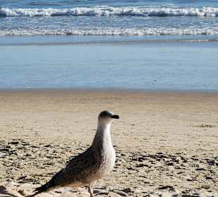 Strand Olhos de Água