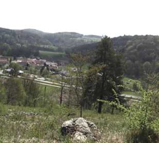 Waldlehrpfad an der Lauter