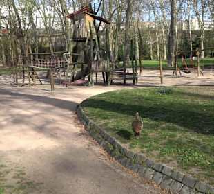 Unterer Schlossgarten Stuttgart