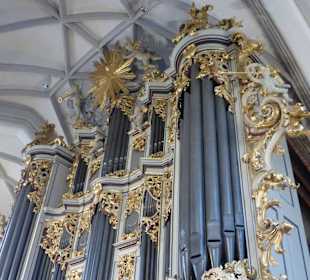 Die Wagner-Orgel in der Marienkirche
