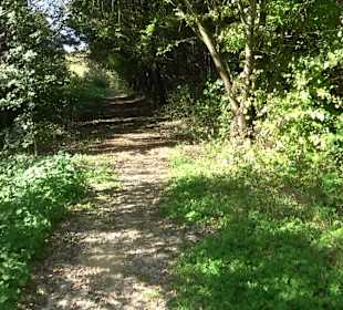 Baumlehrpfad Zollertal
